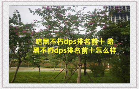 暗黑不朽dps排名前十 暗黑不朽dps排名前十怎么样